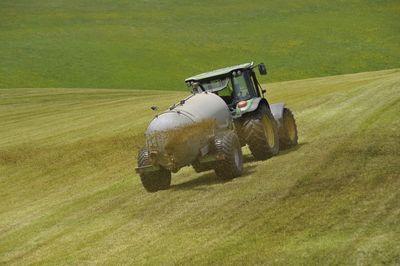 Liquid manure from animals as fertilizer in farming and livestock breeding