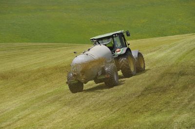 Horse cart on agricultural field