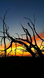 Silhouette of bare tree on field at sunset