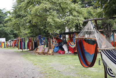 Clothes drying on clothesline against trees