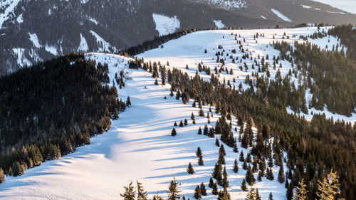 High angle view of snow covered trees by mountain