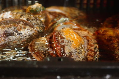 Close-up of food on barbecue grill