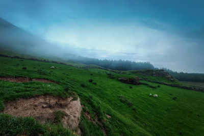 Scenic view of landscape against sky