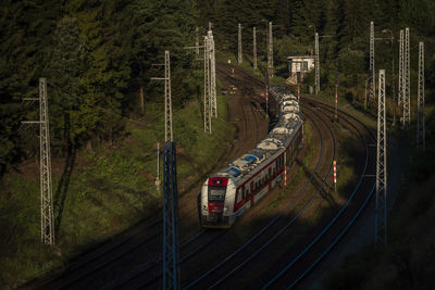 Railroad tracks in forest