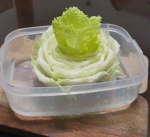 High angle view of ice cream in bowl