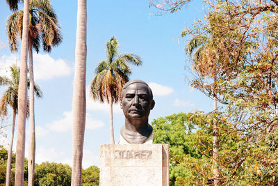 Low angle view of statue amidst trees against sky