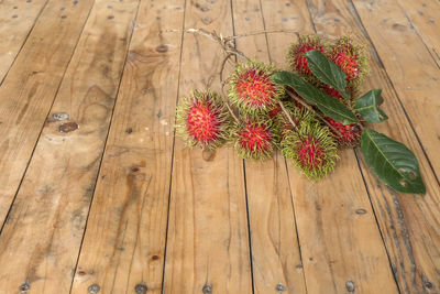 High angle view of plant on table