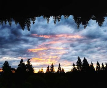 Low angle view of silhouette trees against sky during sunset