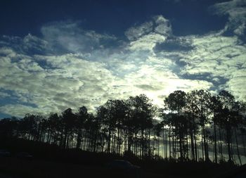 Low angle view of silhouette trees against sky