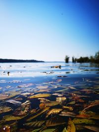 Scenic view of lake against clear blue sky