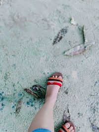 Low section of woman legs on beach