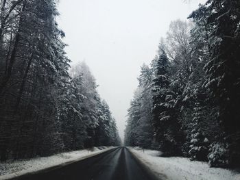 Road amidst trees against clear sky