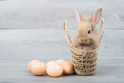 Close-up of eggs in basket on table