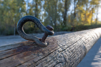 Close-up of rusty chain on railing