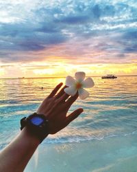 Close-up of hand holding flower over sea against sky