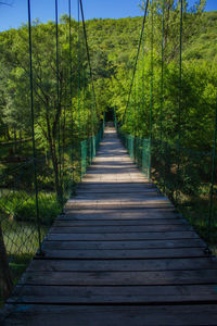 Wooden footbridge amidst trees in forest