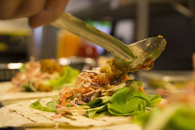 Close-up of hand holding leaf