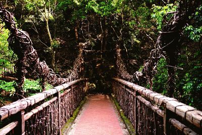 Footbridge amidst trees