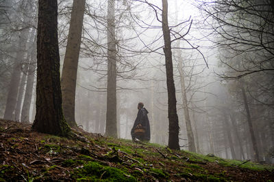 Rear view of woman standing in forest