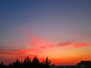 Silhouette of trees at sunset