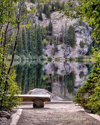 Footpath amidst rocks and trees in forest