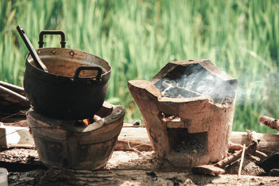 Close-up of logs in forest