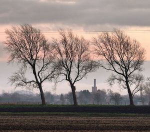 Bare trees on field against sky during sunset