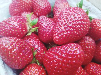 High angle view of strawberries