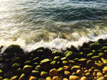 Close-up of wave in sea