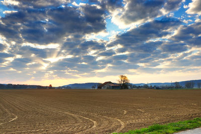 Scenic view of agricultural field against sky during sunset