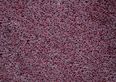 Full frame shot of purple petals