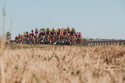 Cyclists riding bicycle on road sports race