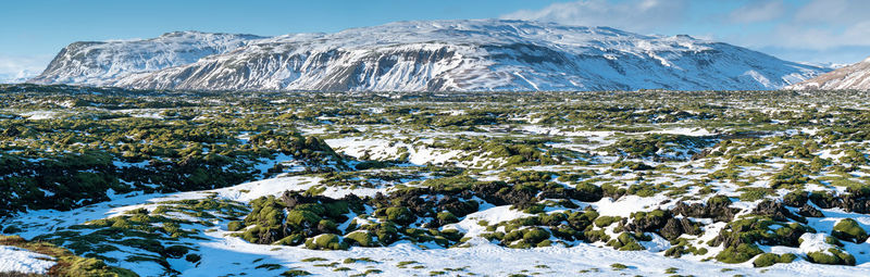 Panoramic image of the lava field of skaftareldahraun, winter in iceland, europe