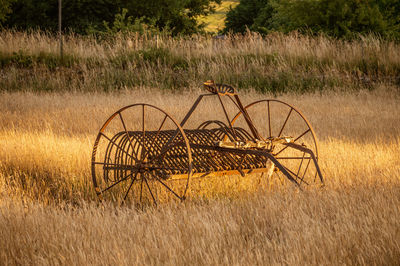 Antique hay rake in a farmers field at sunset.