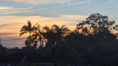 Silhouette trees and electricity pylon against sky during sunset