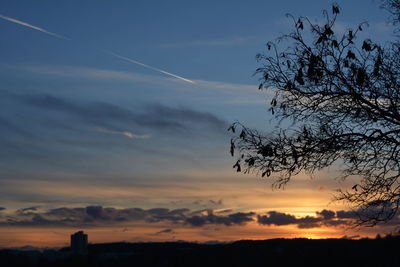 Low angle view of tree against sky during sunset