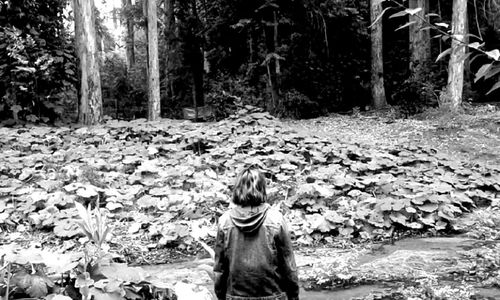 Woman standing on tree trunk in forest