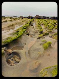 Rocks in sea