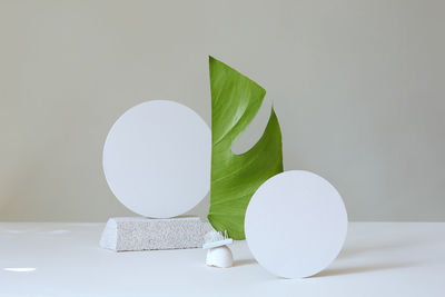 Circle shaped paper amidst leaf against wall
