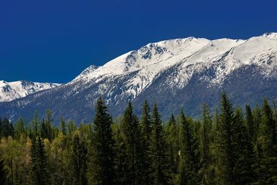 Kanas lake is surrounded by mountains and forests that change colors throughout the seasons.