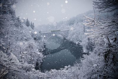 Snow covered land and trees with lake in forest