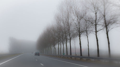 Road amidst bare trees in foggy weather