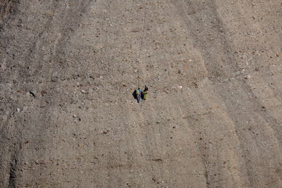 High angle view of climbers