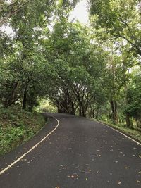 Empty road along trees