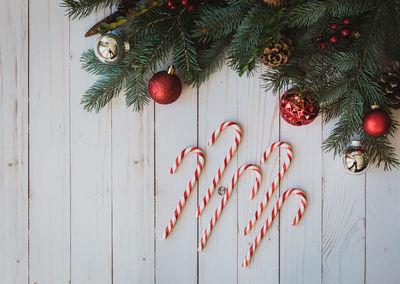 Candy canes on white wood backdrop with christmas decorations.