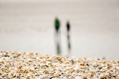 Close-up of pebbles on beach