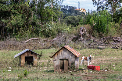 View of dog house on field against trees