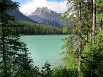 Scenic view of lake and mountains