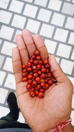 Cropped image of person holding strawberries