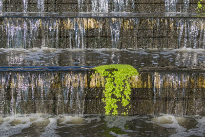 Scenic view of waterfall